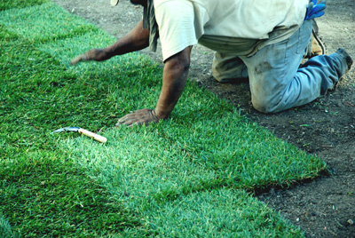 Installing-Sod