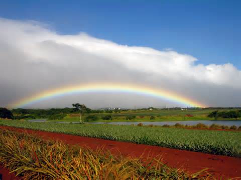 wahiawa-021115