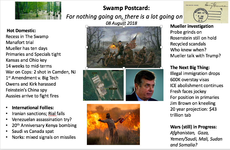 08 August Swamp Postcard