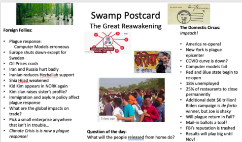 050820swamp